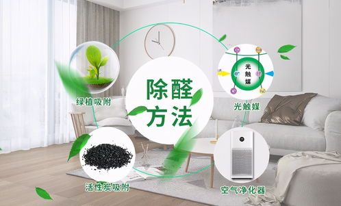 新房裝修完究竟多久能入住