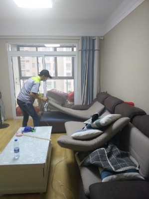 室內車內除甲醛治理公司收費情況,新裝修辦_武漢小小葉子環保科技 - 商國互聯網